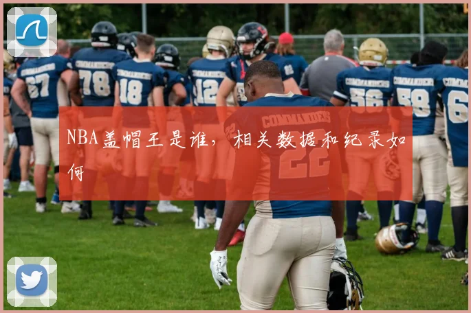 NBA盖帽王是谁，相关数据和纪录如何
