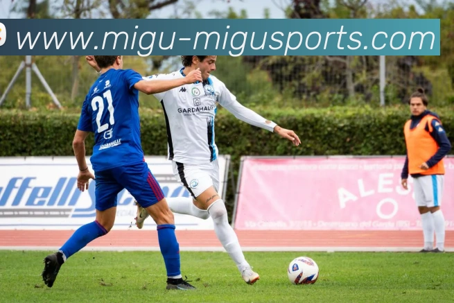 足球直播平台生态图